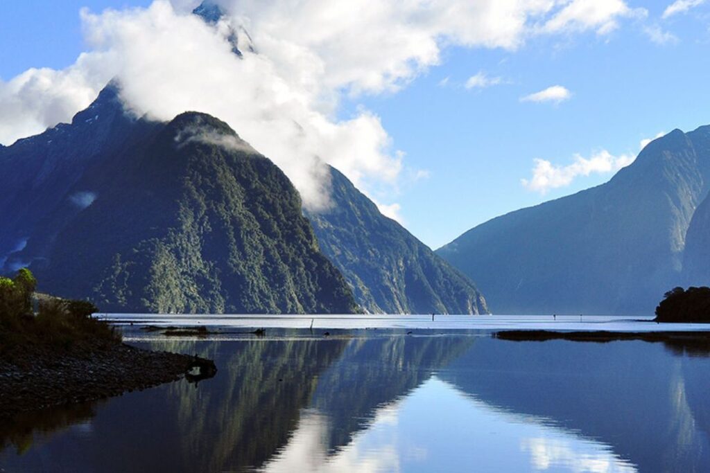 The 5 best things to do in Milford Sound